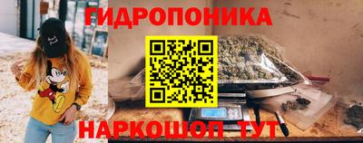 Альфа ПВП Моздок