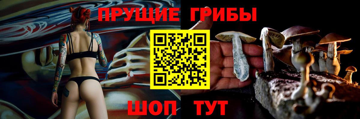 Галлюциногенные грибы мухоморы Югорск