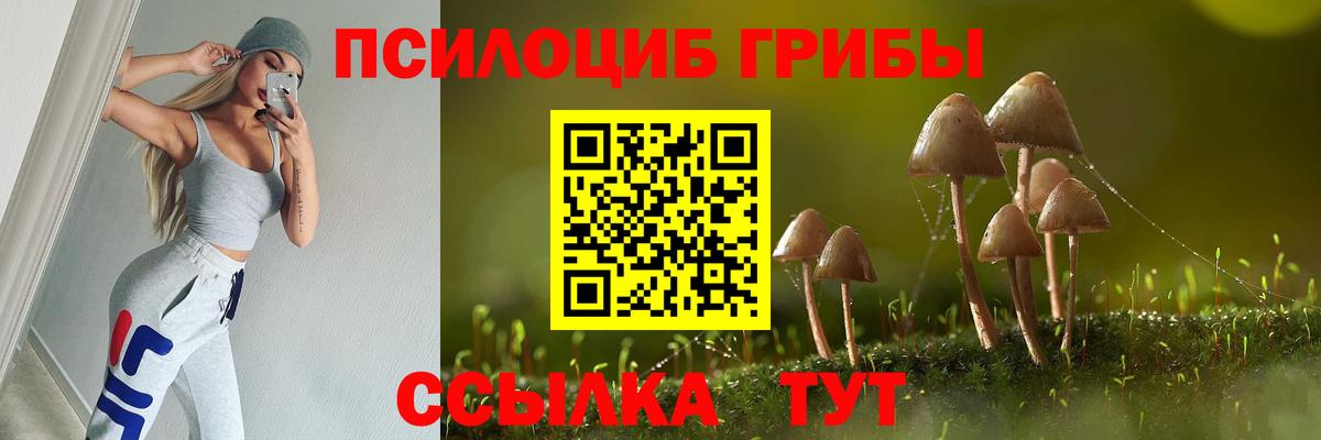 Псилоцибиновые грибы Psilocybine cubensis  Вход с VPN  Югорск  Галлюциногенные грибы Psilocybine cubensis 